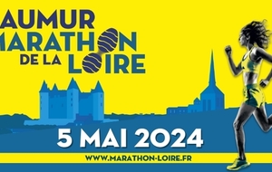 3 coureurs verts sur le Marathon de la Loire